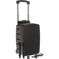 Algam Audio TR12-BT - Enceinte mobile sur batterie avec 2 micros sans fil, Bluetooth - Vue 2